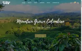 Coffeeandusa.com Screenshot 2024-05-15 18:03:22