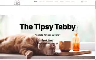 Thetipsytabby.com Screenshot 2024-07-04 04:16:58