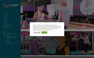 Tlfusion.co.za Screenshot 2024-06-16 13:28:42