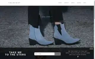 Teleportshoes.com Screenshot 2024-05-05 01:30:43