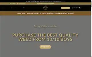 The10-10boys.com Screenshot 2024-06-17 04:01:46