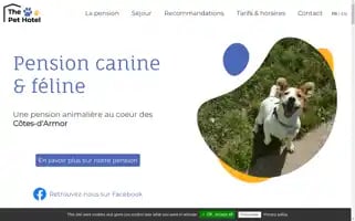 Thepethotel.fr Screenshot 2024-06-17 00:35:48