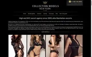 Collectionmodels.net Screenshot 2024-06-28 22:32:42