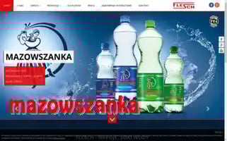 Flesch.pl Screenshot 2024-07-08 02:58:28