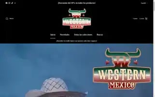 Wwesternmexico.com Screenshot 2024-05-04 01:59:36
