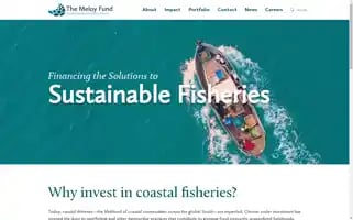 Meloyfund.com Screenshot 2024-07-06 01:42:32