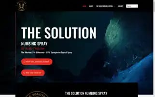 Thesolutionpl.com Screenshot 2024-07-04 19:43:31