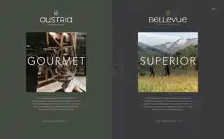 Austria-bellevue.com Screenshot 2024-07-05 12:34:29