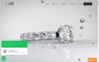 Loupemediahouse.com Screenshot 2024-06-17 23:31:31