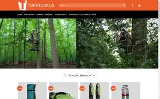 Topstockus.com Screenshot 2024-05-26 05:31:15