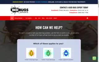 Bedbugsexperts.co.uk Screenshot 2024-07-06 01:29:35