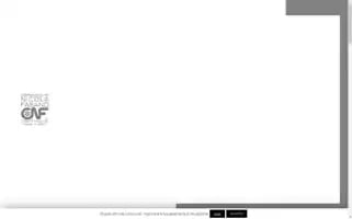 Fasanocnf.it Screenshot 2024-06-12 03:53:45