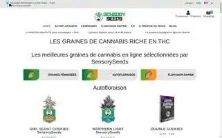 Sensoryseeds.fr Screenshot 2024-07-03 21:13:47