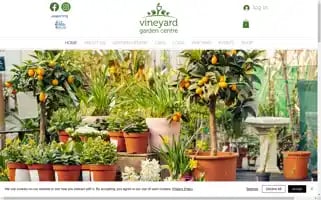 Vineyardgardencentre.co.uk Screenshot 2024-07-07 23:29:54