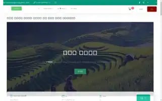 Vntrendingtour.com Screenshot 2024-04-17 14:25:14