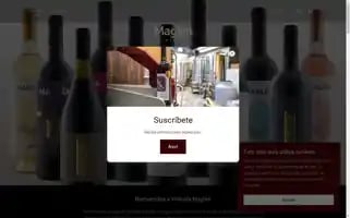 Vinicolamaglen.com Screenshot 2024-07-01 15:38:56
