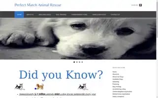 Perfectmatchrescue.org Screenshot 2024-06-12 14:23:18