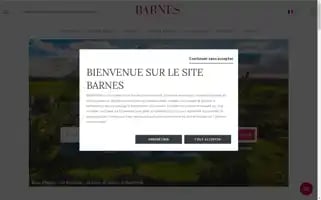 Barnes-international.com Screenshot 2024-06-30 22:16:34