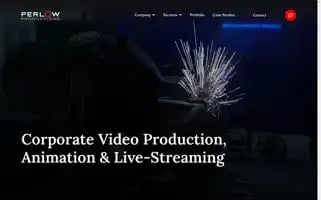 Perlowproductions.com Screenshot 2024-05-13 08:56:39