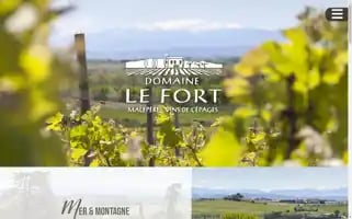 Domainelefort.com Screenshot 2024-06-17 00:36:52