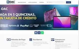 Roacshop.com Screenshot 2024-05-17 01:42:18