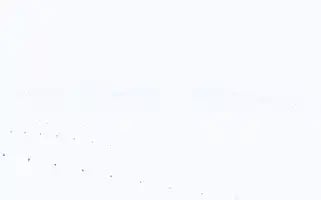 Deterjandunyasi.com Screenshot 2024-07-08 10:54:11