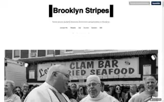 Brooklynstripes.com Screenshot 2024-04-17 10:06:19
