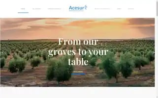 Acesurnorthamerica.com Screenshot 2024-07-03 03:56:23