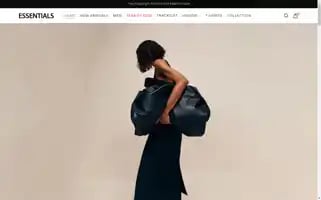 Essentialshoodieofficial.com Screenshot 2024-05-20 23:34:50