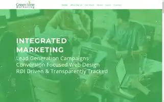 Greenvinemarketing.com Screenshot 2024-07-07 08:19:57