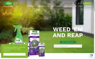 Efekto.co.za Screenshot 2024-07-04 21:19:18