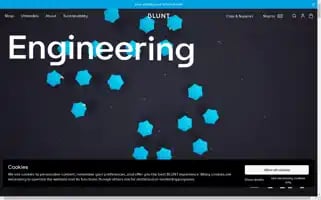 Bluntumbrellas.co.uk Screenshot 2024-05-05 00:02:09