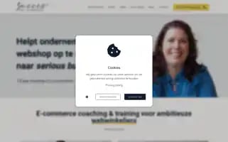 Succesmetjewebshop.nl Screenshot 2024-06-17 15:17:39