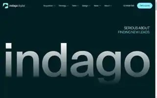 Indagodigital.com.au Screenshot 2024-07-04 23:06:05