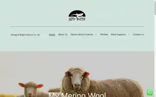 Mymerinowool.com Screenshot 2024-05-22 00:56:18