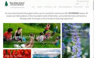 Blueridgeschool.org Screenshot 2024-07-02 15:58:07