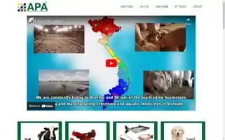 Apanano.com Screenshot 2024-06-29 21:45:41