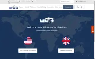 Hillbrush.com Screenshot 2024-06-13 03:13:37