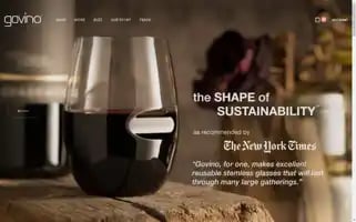 Govino.com Screenshot 2024-06-12 01:47:27