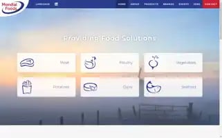 Mondialfoods.nl Screenshot 2024-06-28 09:33:10