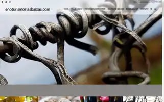 Enoturismoriasbaixas.com Screenshot 2024-05-21 23:40:06