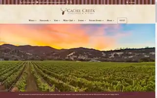 Cachecreekvineyards.com Screenshot 2024-06-12 07:51:32