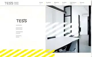 Tessdesigner.com Screenshot 2024-06-15 07:06:33