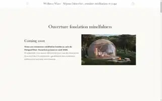 Wellness-wave.com Screenshot 2024-06-18 20:46:38