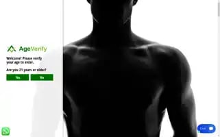 Sinaloachem.com Screenshot 2024-05-20 10:21:52