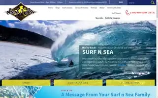 Surfnsea.com Screenshot 2024-06-12 20:43:35