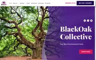 Blackoakcollective.org Screenshot 2024-07-07 10:08:20