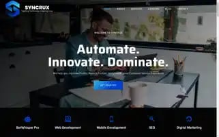 Syncrux.com Screenshot 2024-07-01 02:01:20