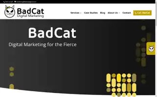 Badcatdigital.com Screenshot 2024-07-01 02:21:23