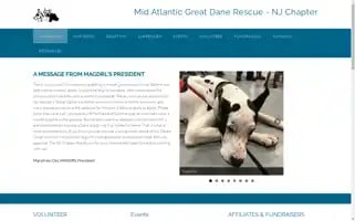 Magdrl-nj.com Screenshot 2024-07-06 15:45:48